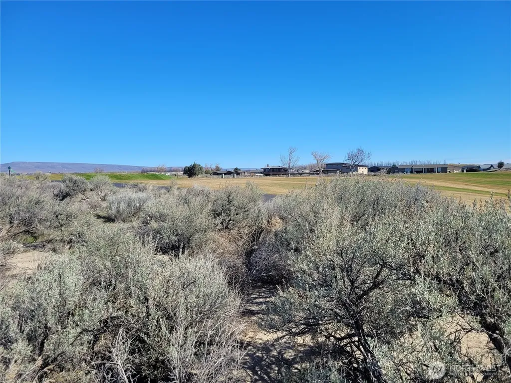 509 SW Desert Aire Dr SW Mattawa WA 99349