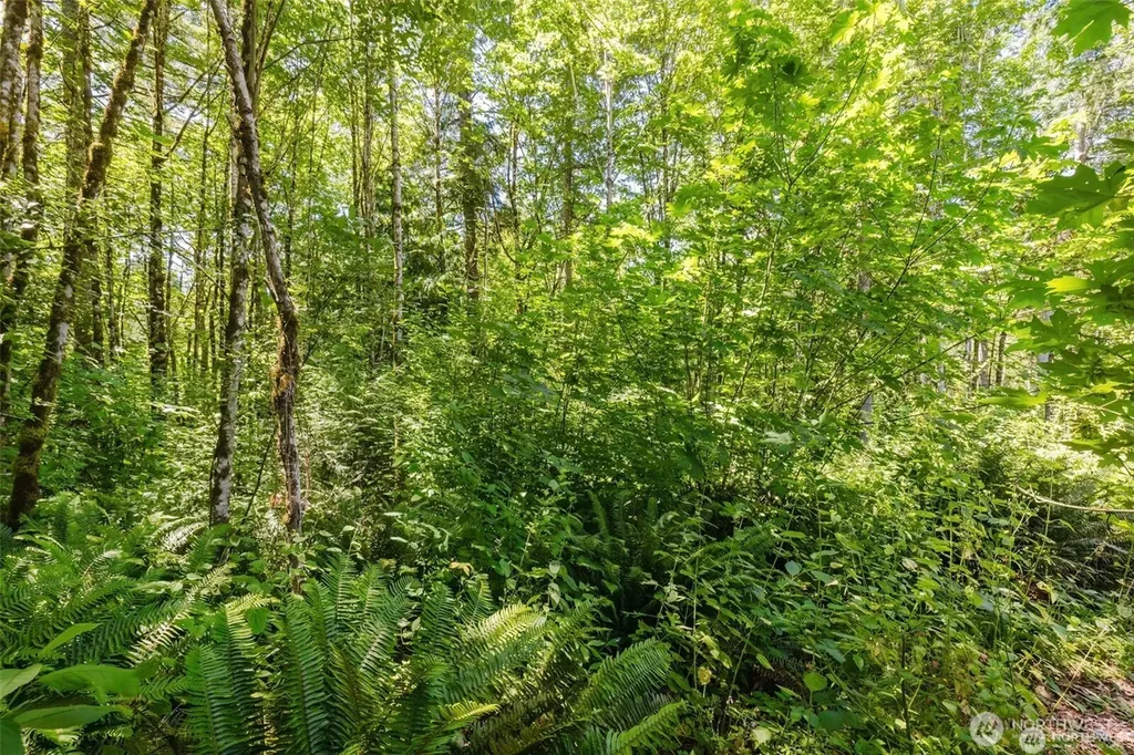 11 Cassie Place NW Poulsbo WA 98370