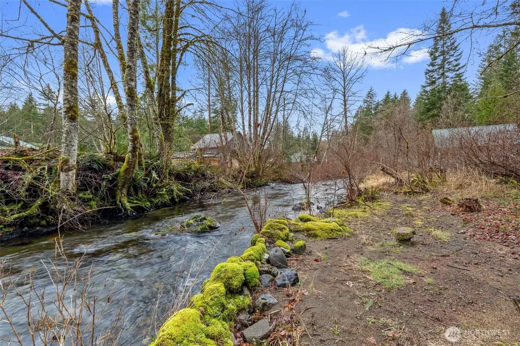 155 Nisqually Way Ashford WA 98304