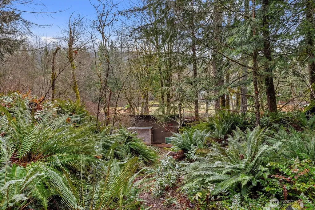155 Nisqually Way Ashford WA 98304