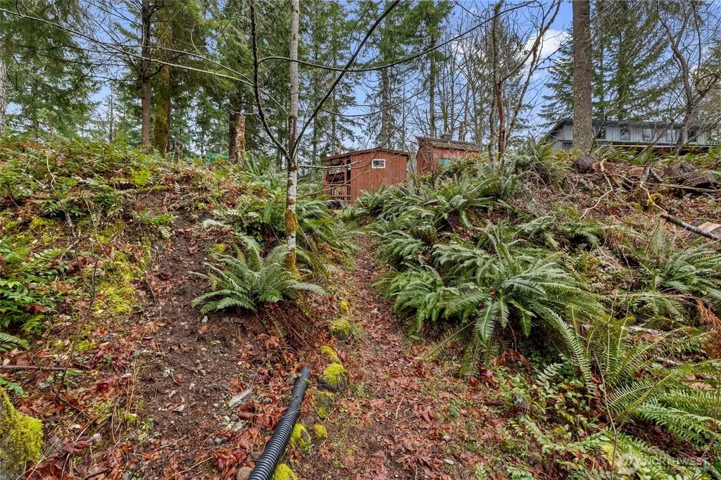 155 Nisqually Way Ashford WA 98304