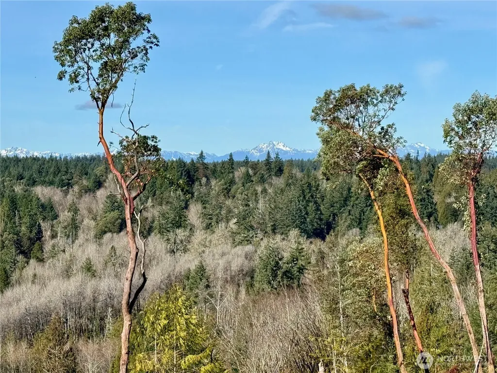 4223 183rd Avenue Ct SW Longbranch WA 98351