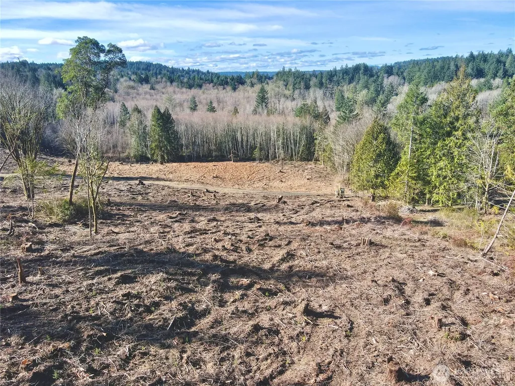 4223 183rd Avenue Ct SW Longbranch WA 98351
