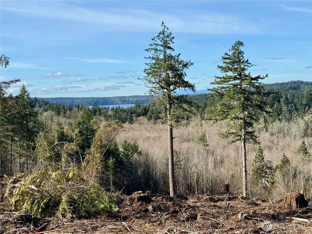 4223 183rd Avenue Ct SW Longbranch WA 98351