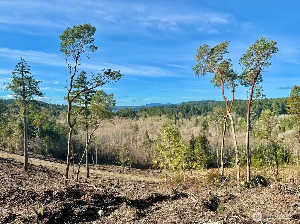 4223 183rd Avenue Ct SW Longbranch WA 98351