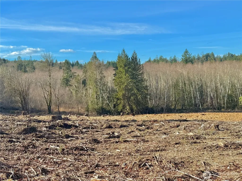 4223 183rd Avenue Ct SW Longbranch WA 98351