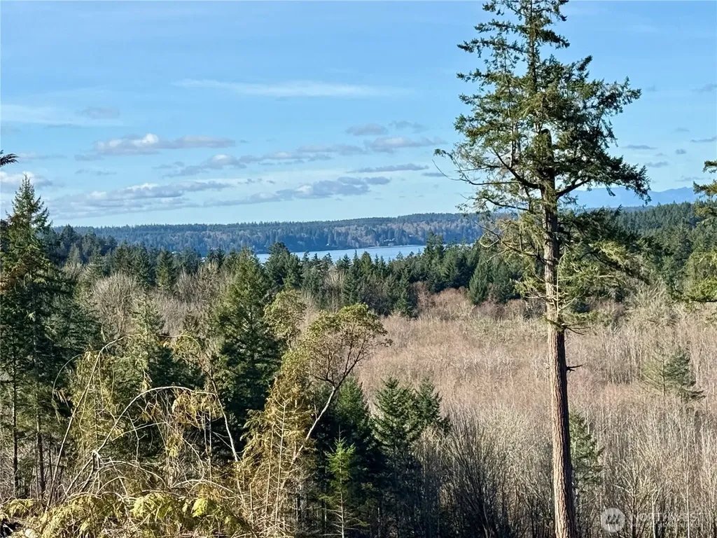 4223 183rd Avenue Ct SW Longbranch WA 98351