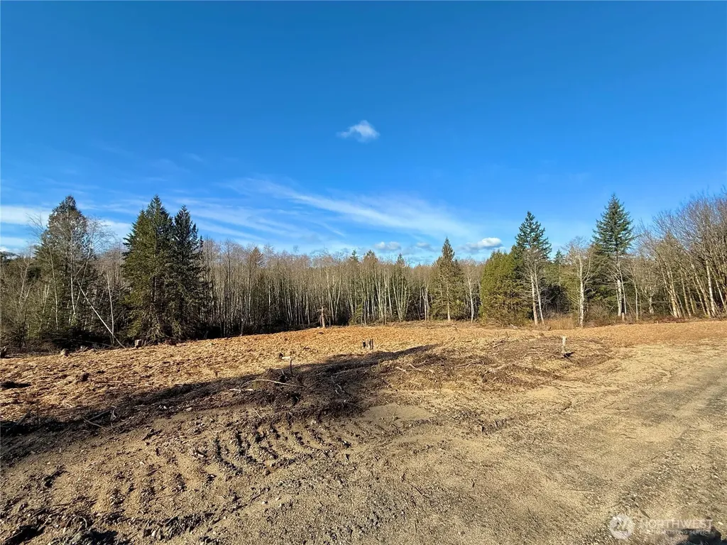 4223 183rd Avenue Ct SW Longbranch WA 98351