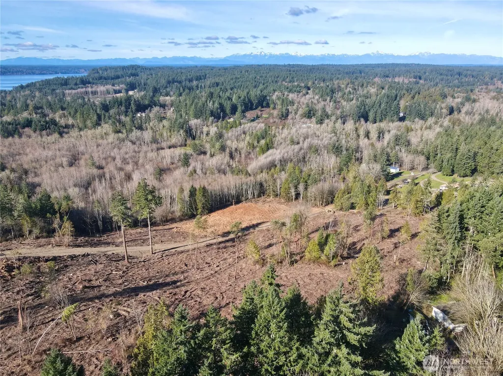 4223 183rd Avenue Ct SW Longbranch WA 98351