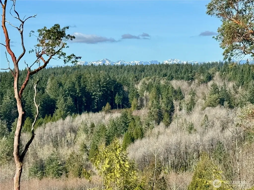 4223 183rd Avenue Ct SW Longbranch WA 98351