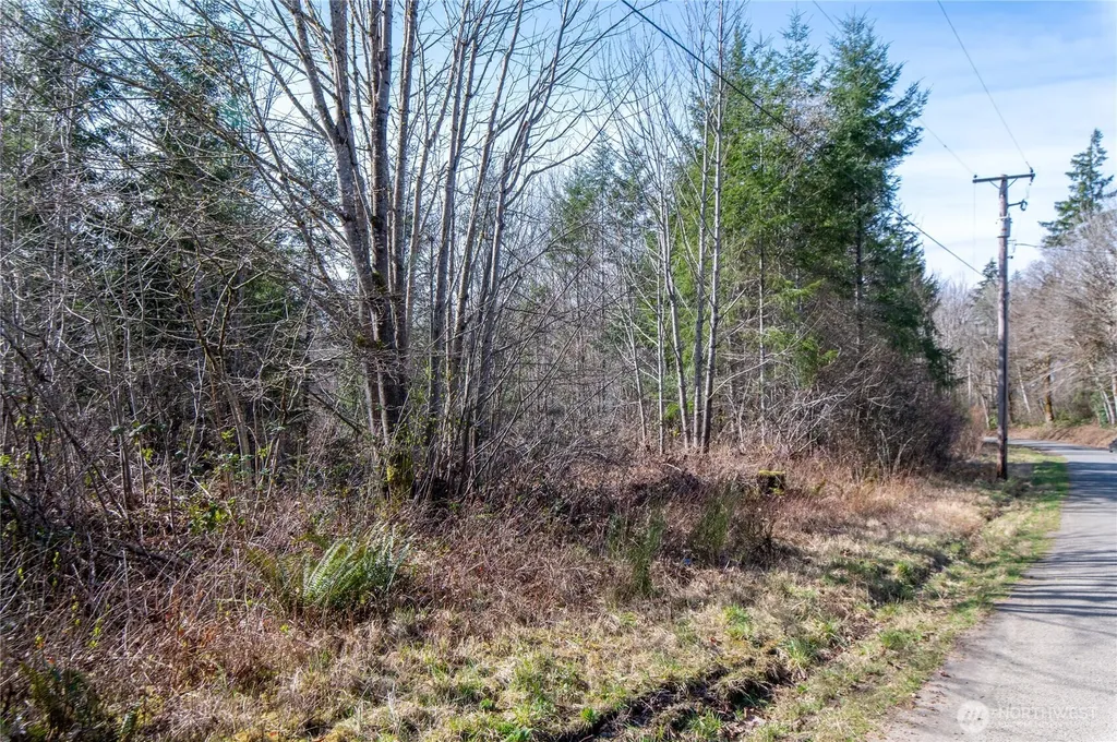 0 NE North Shore Road Belfair WA 98528