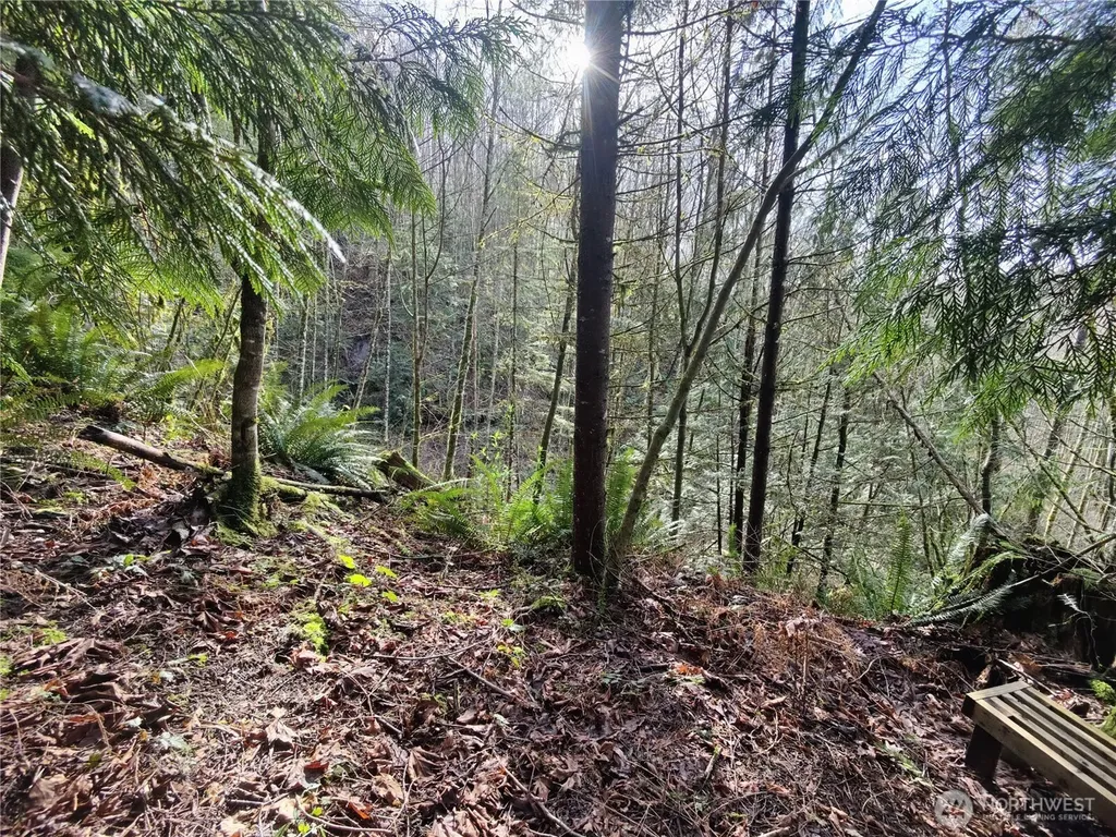 8146 Watkins Road Sumas WA 98295
