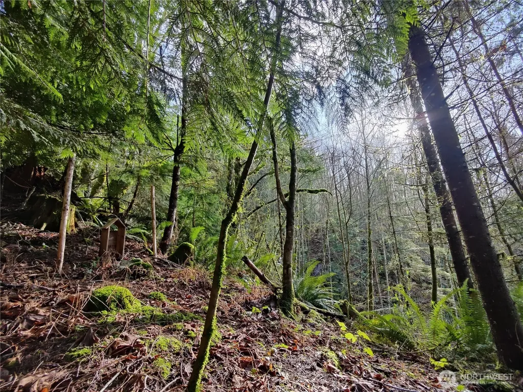 8146 Watkins Road Sumas WA 98295