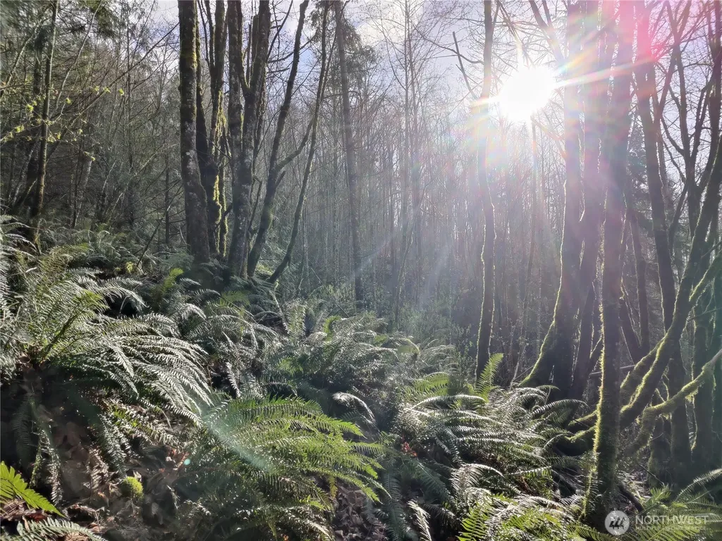 8146 Watkins Road Sumas WA 98295