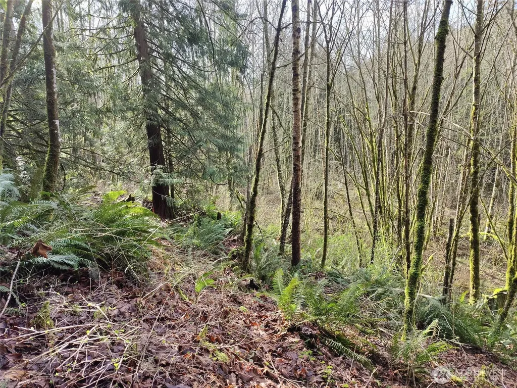 8146 Watkins Road Sumas WA 98295