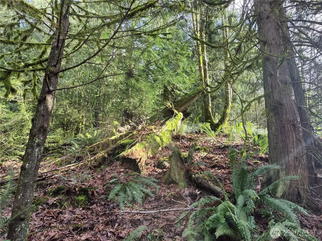 8146 Watkins Road Sumas WA 98295