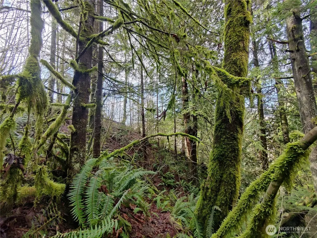 8146 Watkins Road Sumas WA 98295