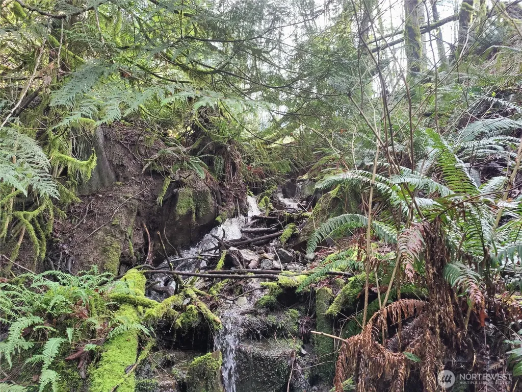 8146 Watkins Road Sumas WA 98295