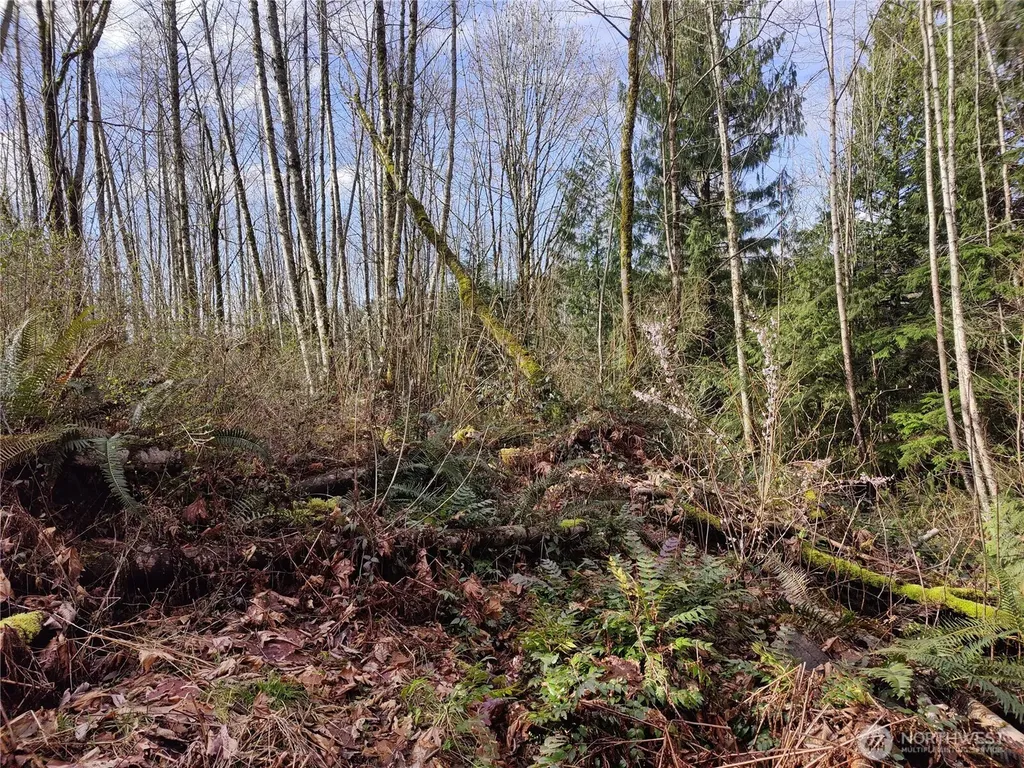 8146 Watkins Road Sumas WA 98295