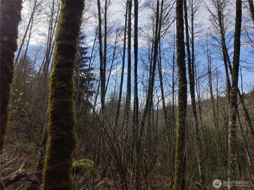 8146 Watkins Road Sumas WA 98295
