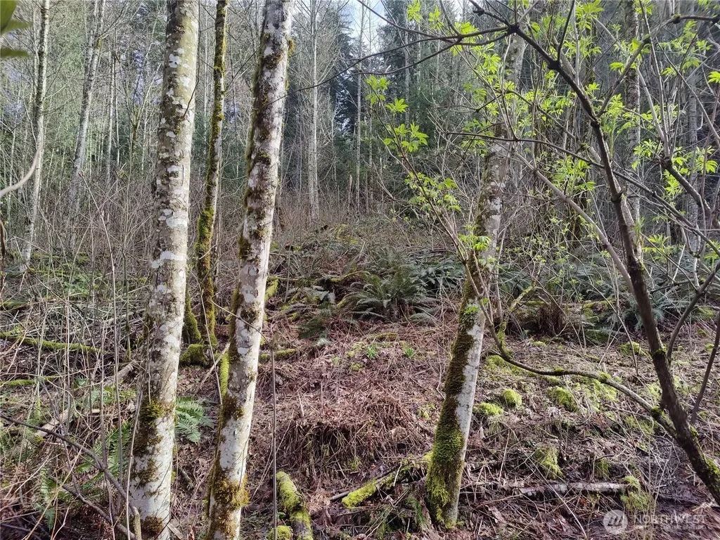 8146 Watkins Road Sumas WA 98295