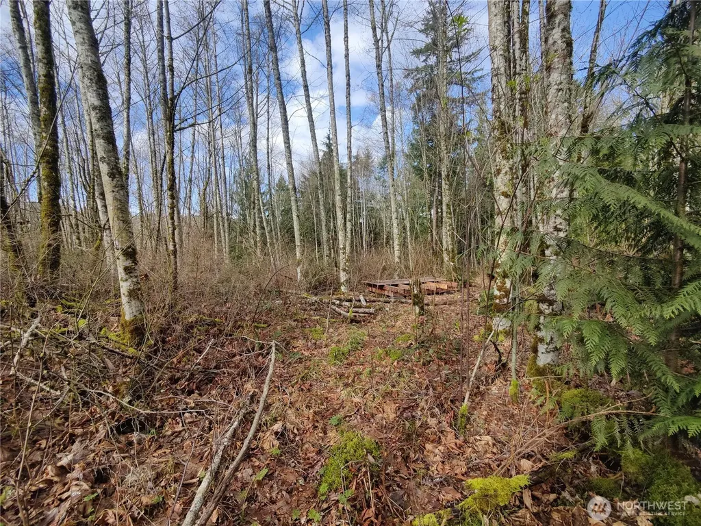 8146 Watkins Road Sumas WA 98295