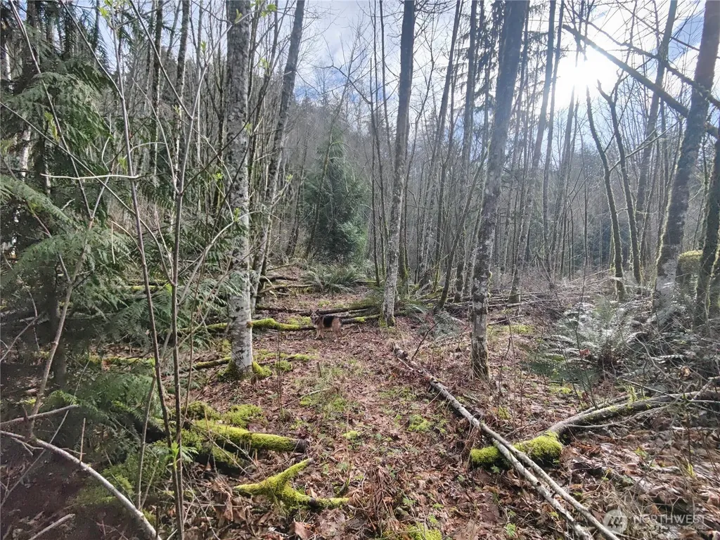 8146 Watkins Road Sumas WA 98295