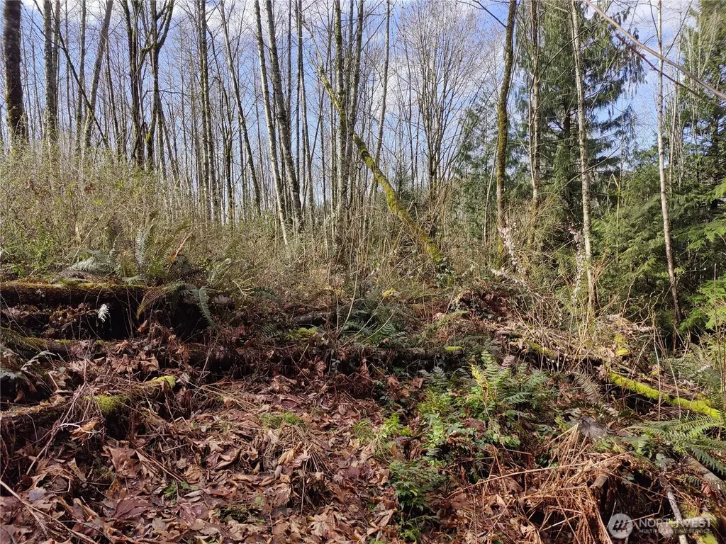 8146 Watkins Road Sumas WA 98295