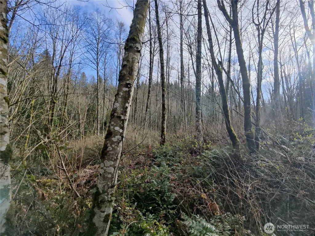 8146 Watkins Road Sumas WA 98295
