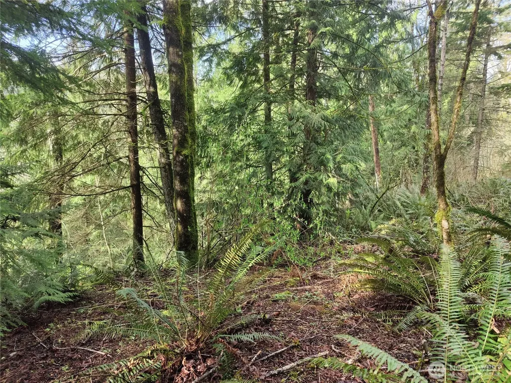 8146 Watkins Road Sumas WA 98295
