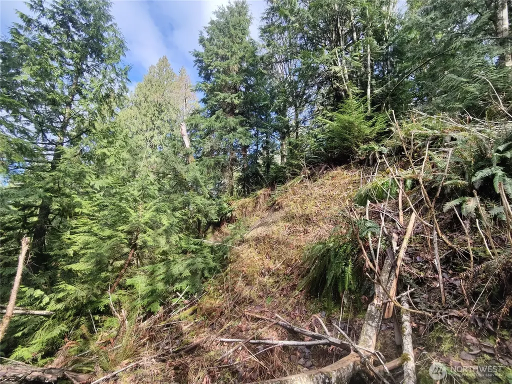 8146 Watkins Road Sumas WA 98295