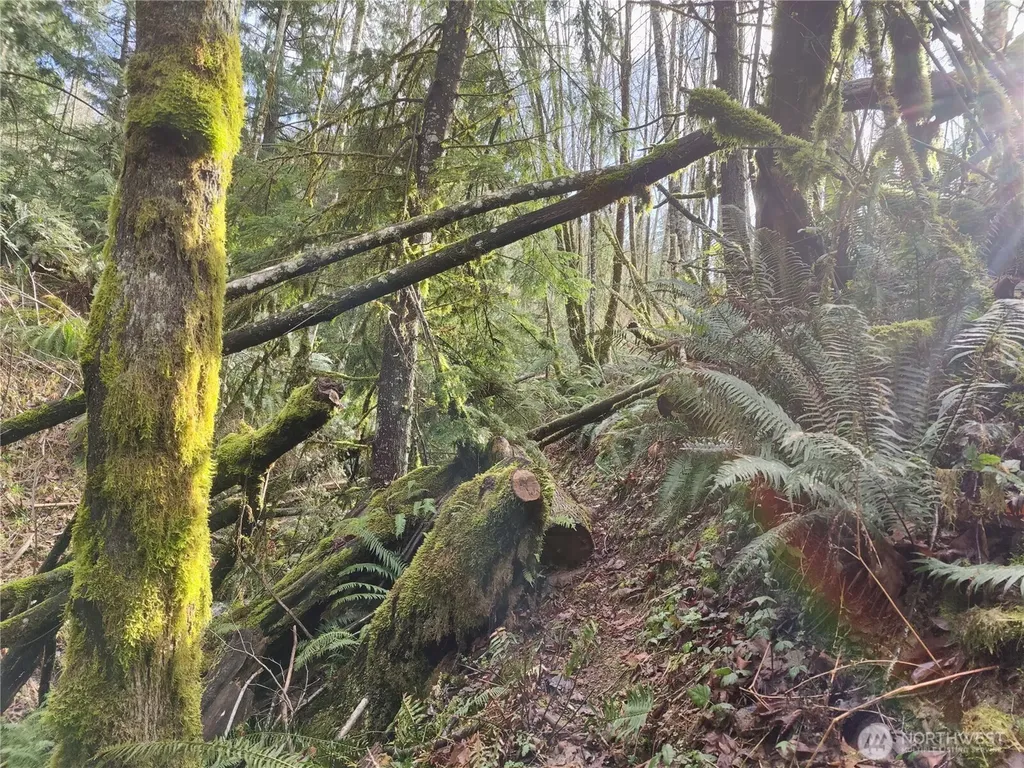 8146 Watkins Road Sumas WA 98295