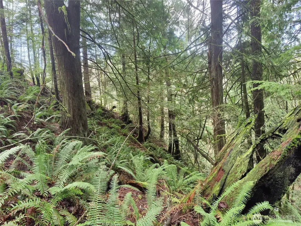 8146 Watkins Road Sumas WA 98295