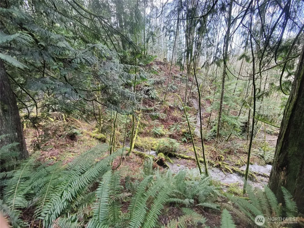 8146 Watkins Road Sumas WA 98295