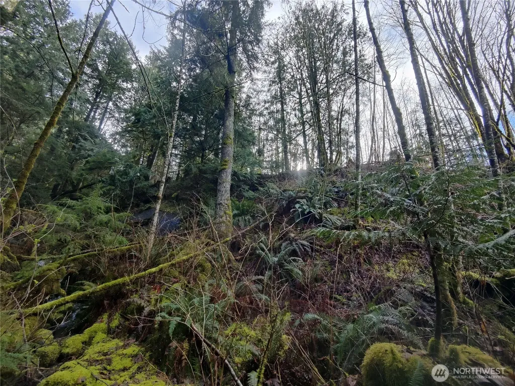 8146 Watkins Road Sumas WA 98295
