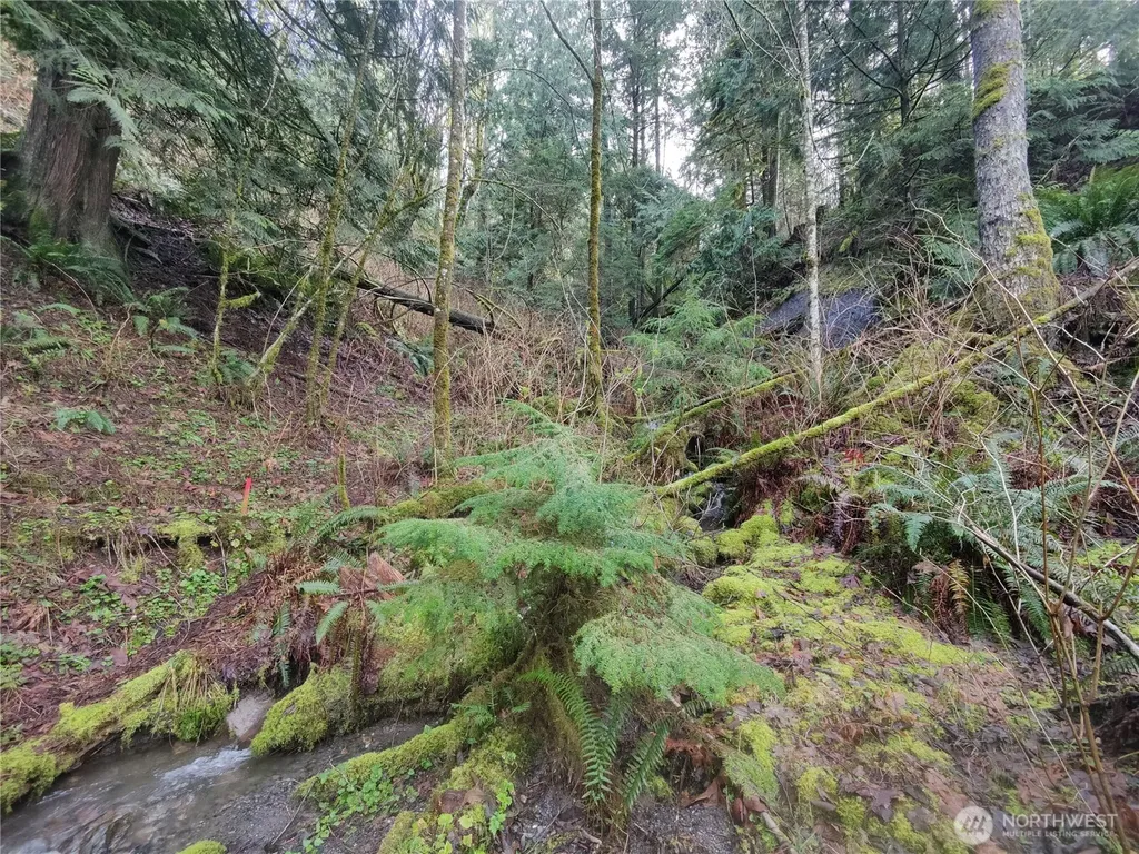 8146 Watkins Road Sumas WA 98295