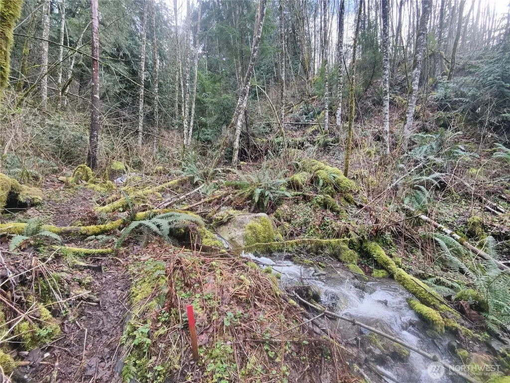 8146 Watkins Road Sumas WA 98295