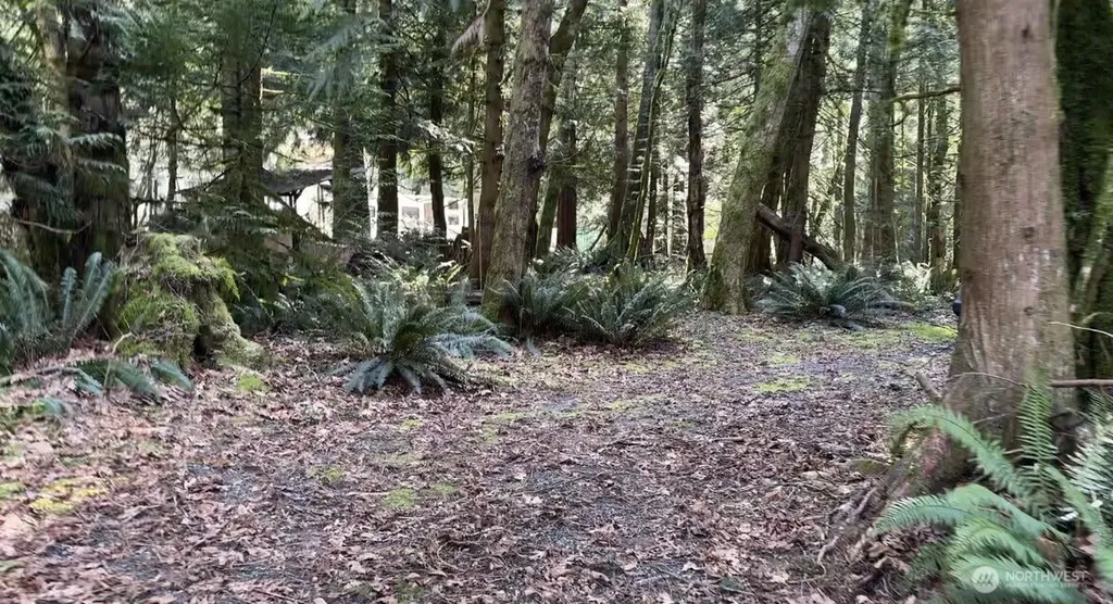8146 Watkins Road Sumas WA 98295
