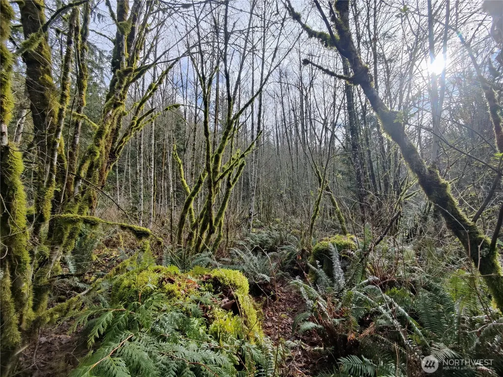 8146 Watkins Road Sumas WA 98295