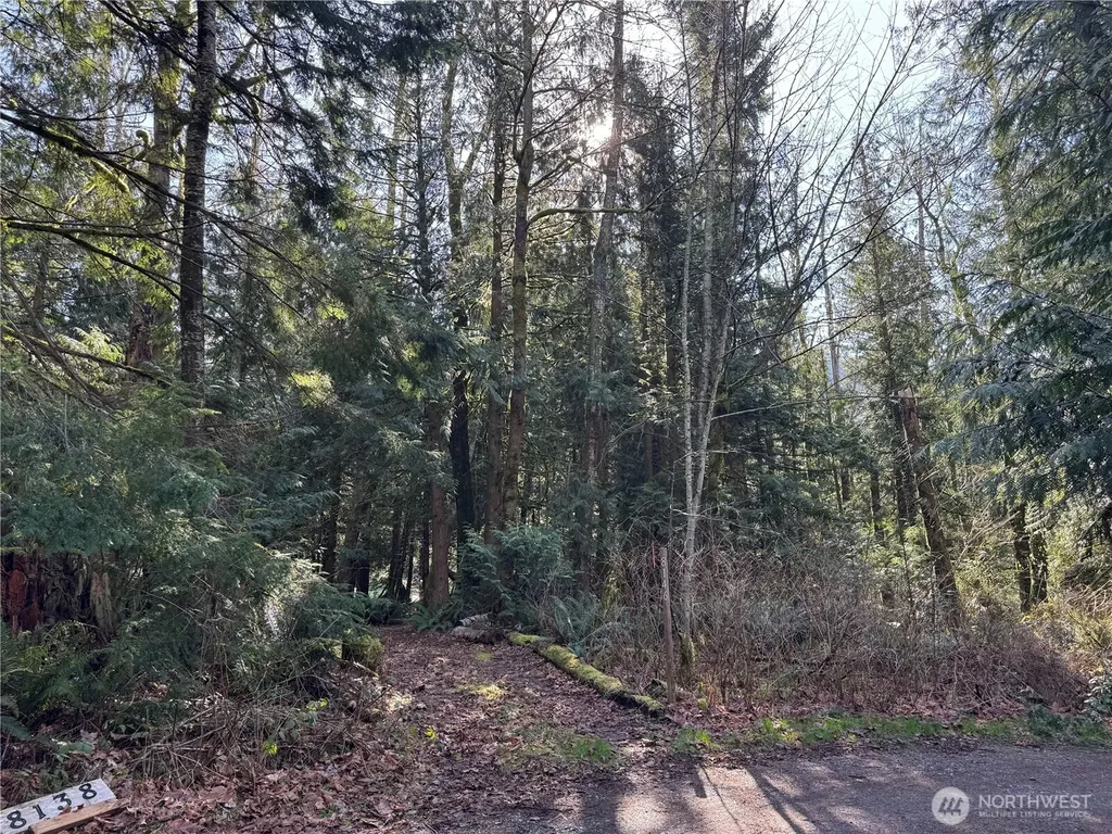 8146 Watkins Road Sumas WA 98295