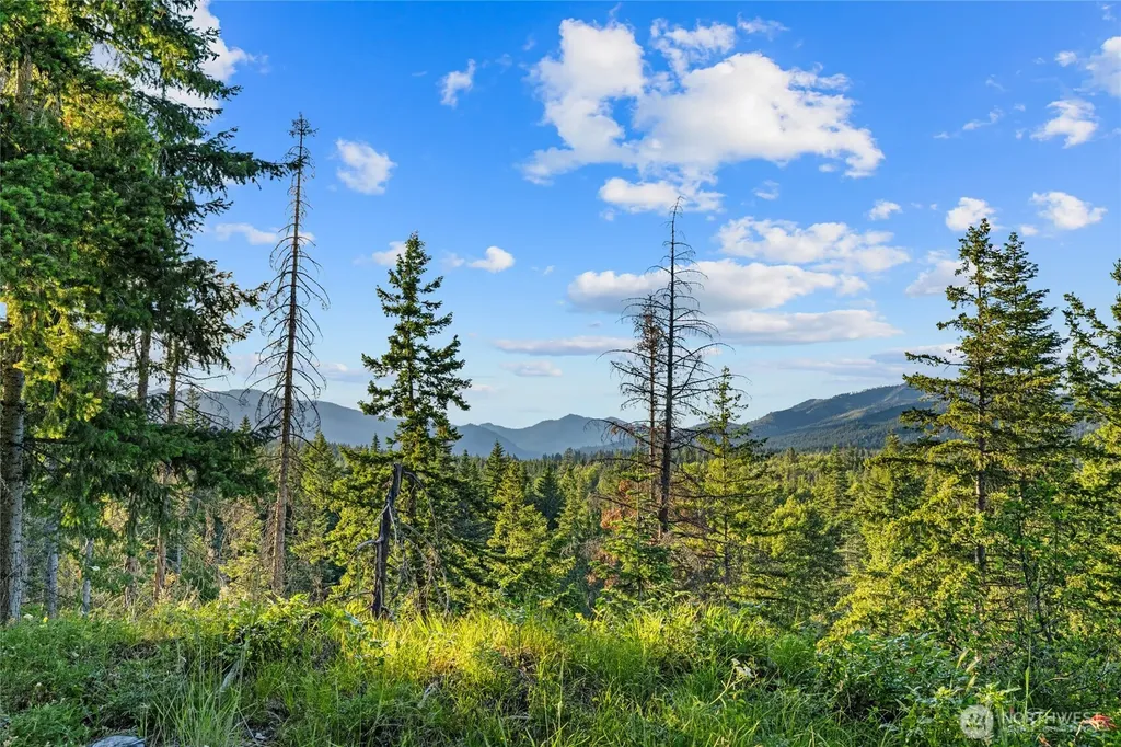 39 Gold Leaf Lane Cle Elum WA 98922
