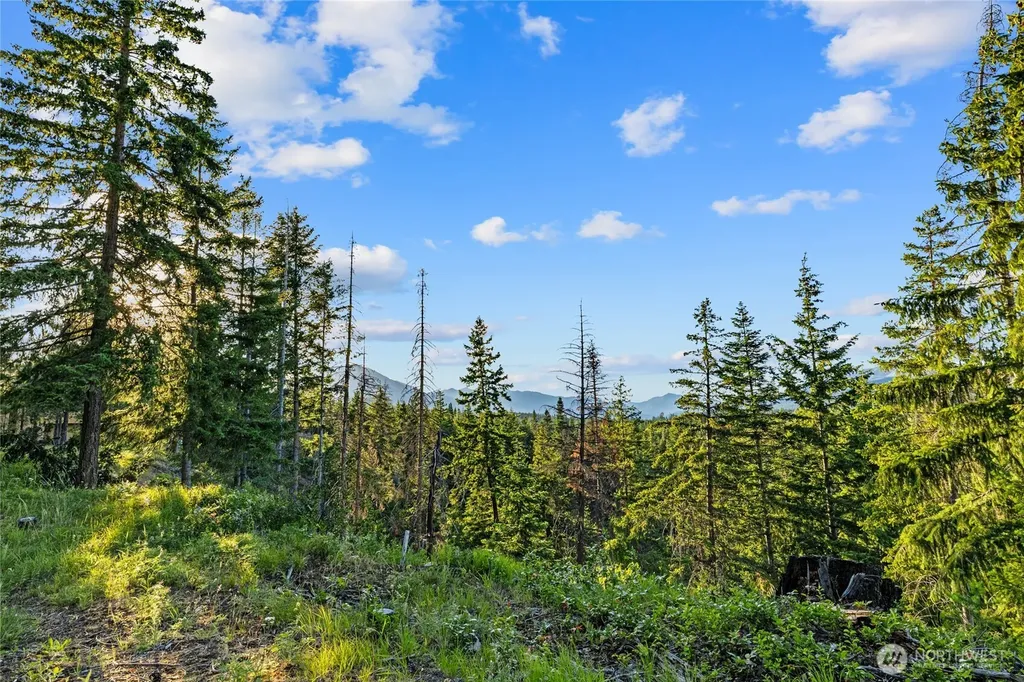 39 Gold Leaf Lane Cle Elum WA 98922