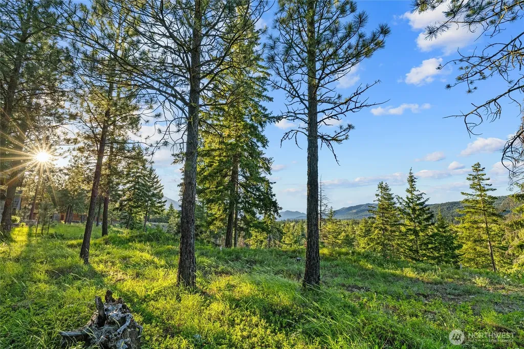 39 Gold Leaf Lane Cle Elum WA 98922