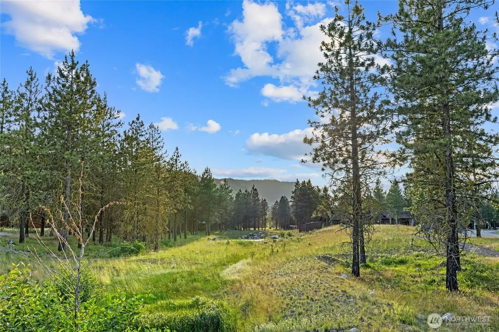 39 Gold Leaf Lane Cle Elum WA 98922