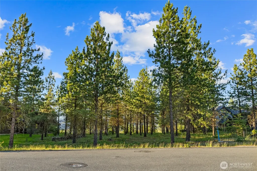 39 Gold Leaf Lane Cle Elum WA 98922