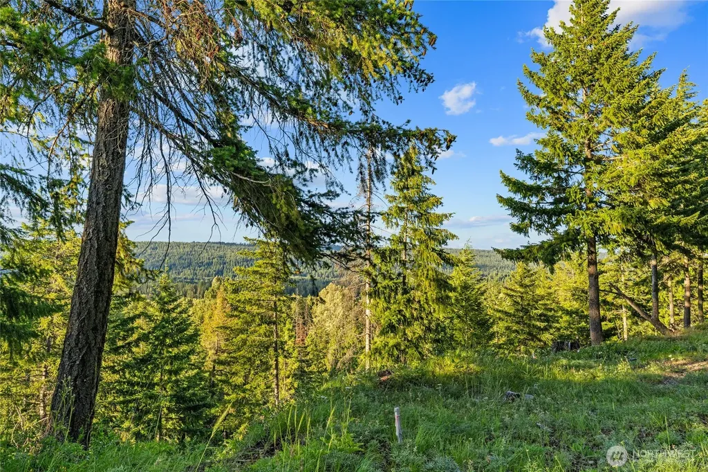 39 Gold Leaf Lane Cle Elum WA 98922