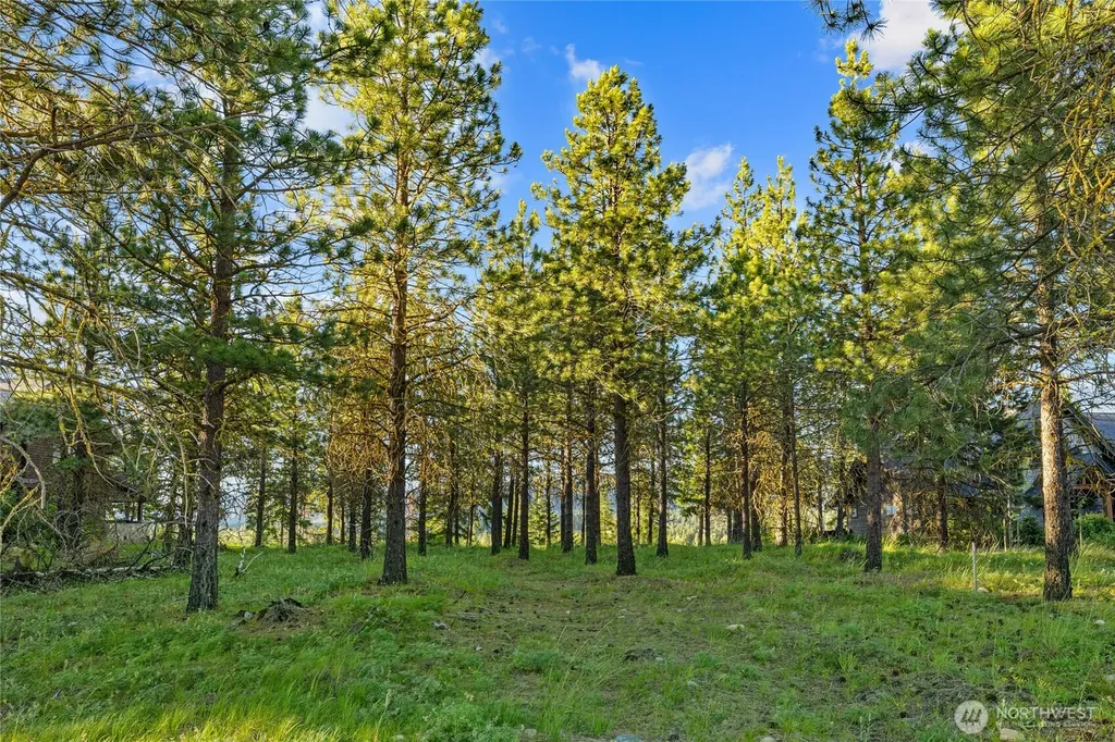 39 Gold Leaf Lane Cle Elum WA 98922