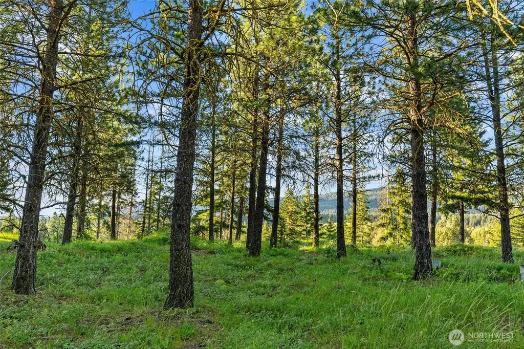 39 Gold Leaf Lane Cle Elum WA 98922