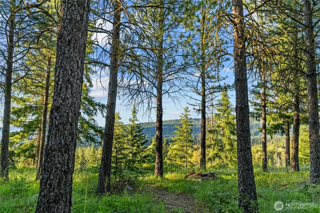 39 Gold Leaf Lane Cle Elum WA 98922