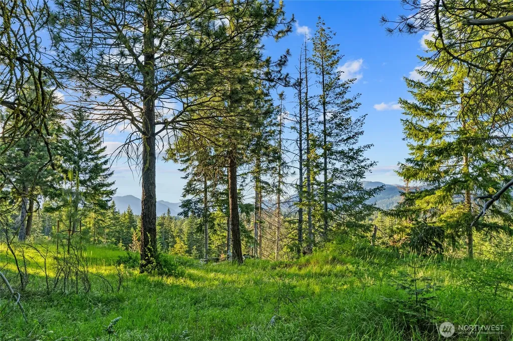 39 Gold Leaf Lane Cle Elum WA 98922